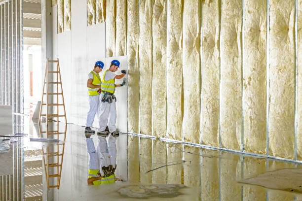 Best Eco-Friendly Insulation in Painted Post, NY